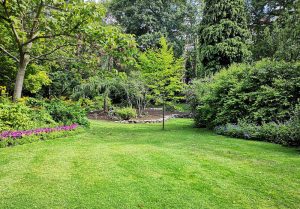 Optimiser l'expérience du jardin à Allamont